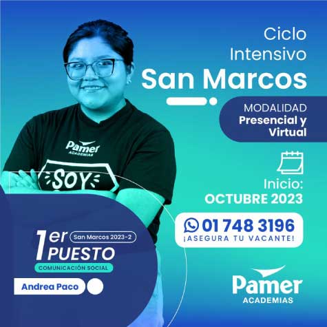 Ciclo San Marcos Academia Pamer