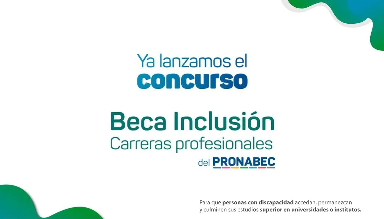 Beca inclusión carreras profesionales